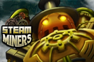 05609 steam miners